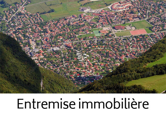 Entremise immobilière