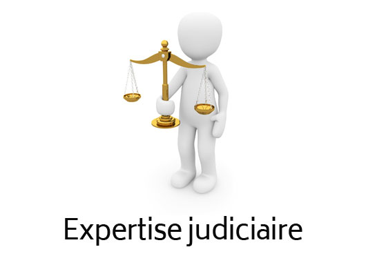 Expertise judiciaire